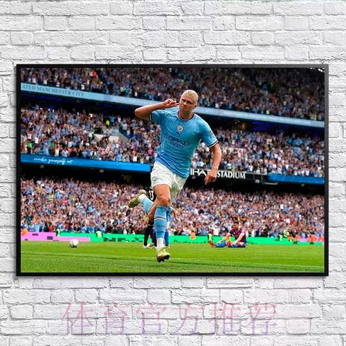 本届世界杯荷兰哈兰德赛事预测最新更新